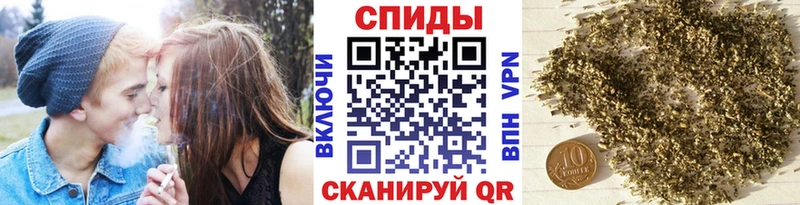 ссылка на мегу как зайти  Питкяранта  Бутират буратино 