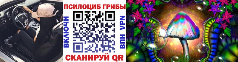 ОМГ ОМГ вход  это состав  Галлюциногенные грибы MAGIC MUSHROOMS  Питкяранта 